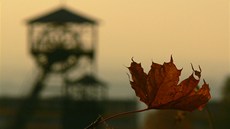 Podzimní ostravská poetika. Tato fotografie dopluje trojici neúspnjích.