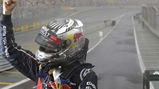 MISTR SVTA. Sebastian Vettel po napínavém vyvrcholení sezony v Brazílii