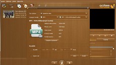 ACDSee Video Converter