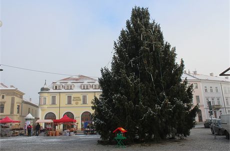 Vánoní strom v Uherském Hraditi
