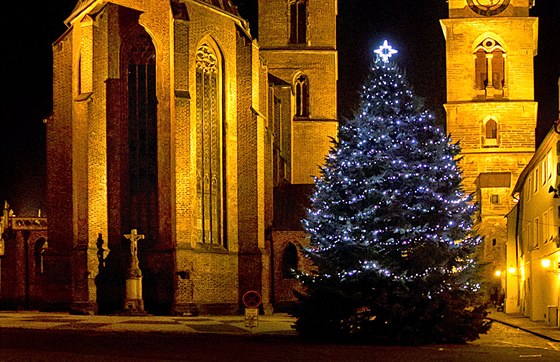 Vánoní jedle ojínná na Velkém námstí v Hradci Králové 