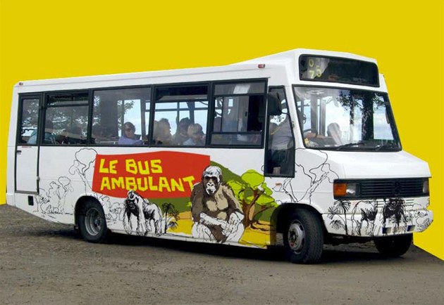 Dti budou moci jet za gorilami speciálním autobusem.