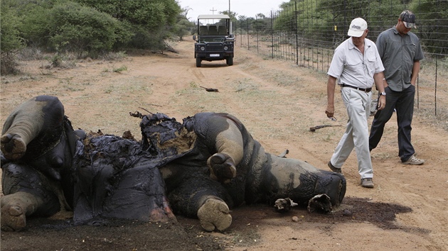 Zabit nosoroec u jezerea Finfoot v Jihoafrick republice (22. listopadu 2012)