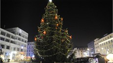 Vánoní strom v Ústí nad Labem