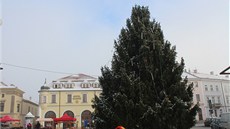 NÁHRADNÍK. Zhruba dvanáctimetrový strom, který se ve středu navečer rozsvítí na NÁHRADNÍK. Zhruba dvanáctimetrový strom, který se ve středu navečer rozsvítí na