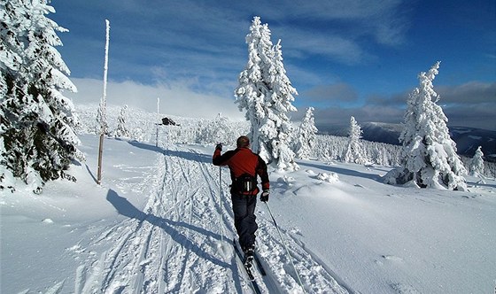 Bkai si mohou nov na internetu ovit, kdy byla jejich oblíbená trasa v Jeseníkách naposledy upravena. (Ilustraní snímek)