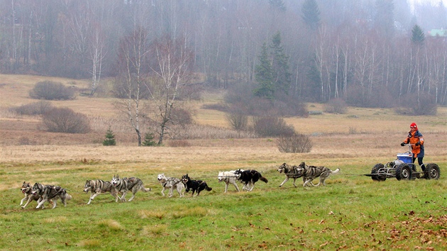 Jezd se hlavn na sanch, ale kdy nen snh, vysta krka na kolech.