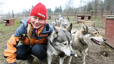 Jana Lovette Henychová se svou psí smečkou Jana Lovette Henychová se svou psí smečkou