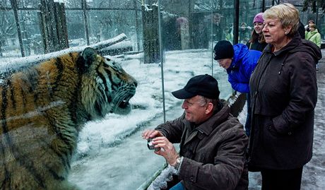 Levnjí vstupenky by mohly pivést do zoo nové návtvníky.