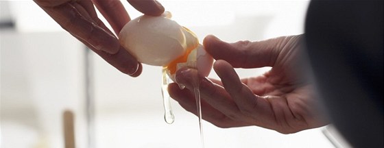 Kdy vajíka dobe vyberete a správn s nimi zacházíte, není dvod se salmonely