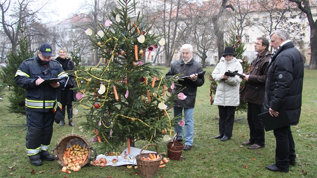 Zdoben stromek na Karlov nmst. Dti upoutal strom ozdoben mrkvemi a jablky.