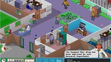 Theme Hospital