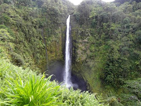 Havajské souostroví (na snímku vodopád Akara) leí v tropickém pásmu. Turisty tam as od asu zaskoí det. Obzvlát ty, kteí vstoupí na stezky, které úady oznaí za nepístupné.
