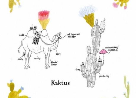 Ukzka z knihy Rostlinopis