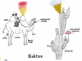 Ukzka z knihy Rostlinopis