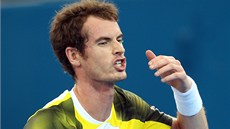 Andy Murray se ve finále turnaje v Brisbane nadel. Nakonec Dimitrova porazil a