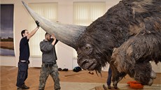 Jednorohý nosorožec byl velmi pohyblivý a mohl být předobrazem bájného Jednorohý nosorožec byl velmi pohyblivý a mohl být předobrazem bájného
