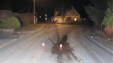 Místo nehody v Jetřichově na Náchodsku. Místo nehody v Jetřichově na Náchodsku.