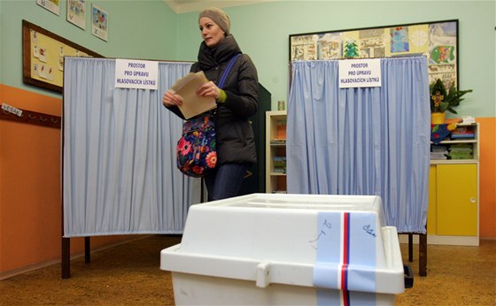 Volii SSD a ODS volili v prezidentských volbách pedevím Miloe Zemana, respektive Karla Schwarzenberga (ilustraní snímek).