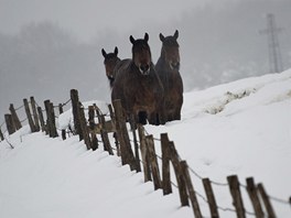 Také ve panelsku se dokali snhu. Takto vypadá krajina na severu Pyrenejského...