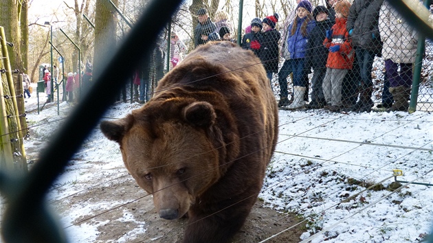 Vojta, Kuba a Matj slavili letos 13. narozeniny.