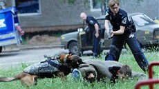 Městská policie v Lázních Bohdaneč - I policejní pes má neprůstřelnou vestu Městská policie v Lázních Bohdaneč - I policejní pes má neprůstřelnou vestu