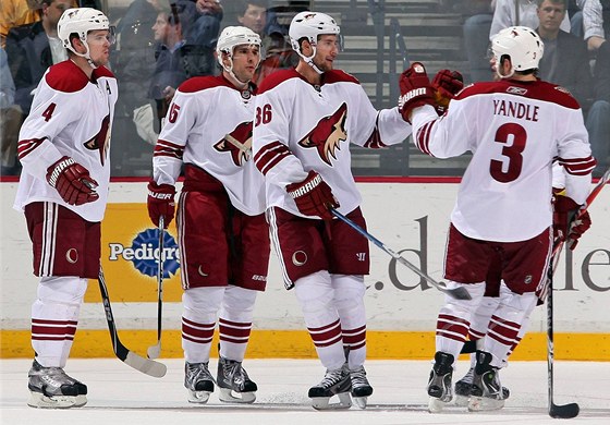 PHOENIX TÁHNE. V Rize bylo na vystoupení Coyotes zvdavých tolik fanouk, e vyprodali halu za 14 minut.