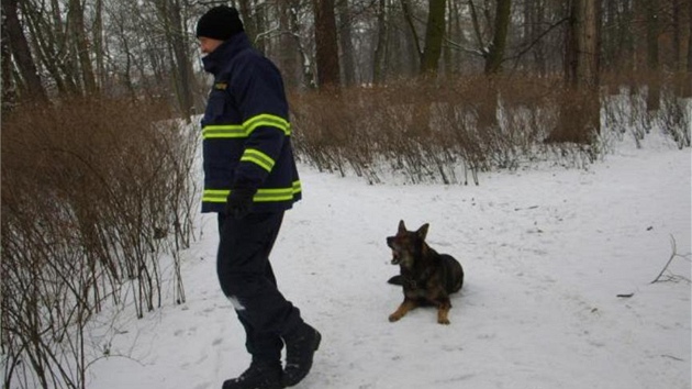 Do akce se krom mstnch policist zapojili i pslunci krajsk zsahov jednotky, psovod se psem vycvienm na vyhledvn utonulch, pon oddl a jednotky profesionlnch i dobrovolnch hasi.