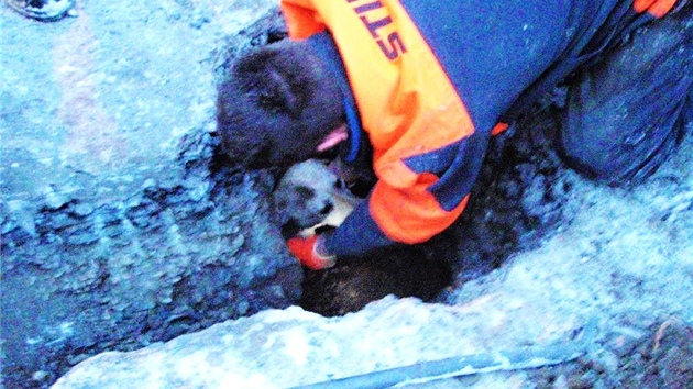 Vyprotn psa z betonov kanlov roury ve Svojanov na Olomoucku