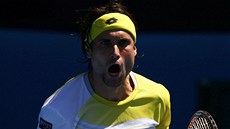 panlský tenista David Ferrer se raduje z postupu do tvrtfinále Australian