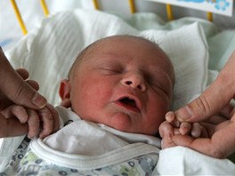 Prvním novorozencem Kraje Vysoina se stal Radek Jelínek. Narodil se v...