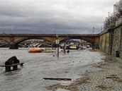 Praha 2 Vltava i nadále stoupá, nejvtí radost z toho mají rackové.