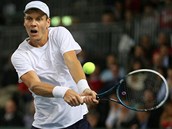 BEKHEND. Tom Berdych pi jednom z der v souboji s Henrim Laaksonenem.