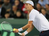 PPRAVA NA PODN. Tom Berdych v souboji s Henrim Laaksonenem.