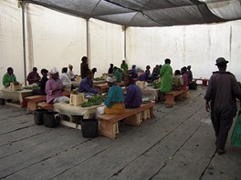 Farma Karuturi v africké Keni.