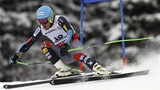 Americký sjezda Ted Ligety byl nejrychlejí v super G na mistrovství svta ve