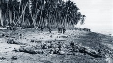 Bitva o tichomoský ostrov Guadalcanal si vyádala ivoty více ne et a pl