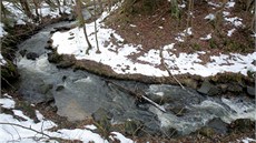 Údolní niva Rudolfovského potoka v Rudolfov u eských Budjovic je chránna
