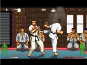 Karate Master Knock Down Blow