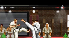 Karate Master Knock Down Blow