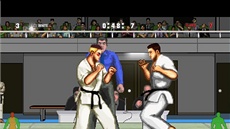 Karate Master Knock Down Blow