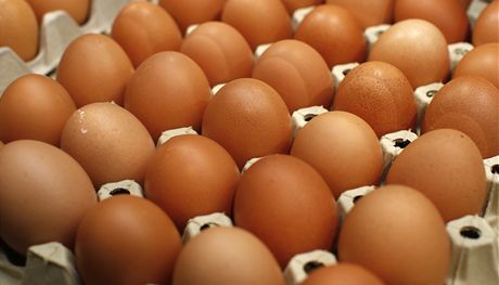 Vajíkový spor brnnských sousedek bude eit správní orgán. Ilustraní snímek