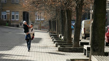 Vtina strom v lipové aleji na námstí Milady Horákové v Karlových Varech je