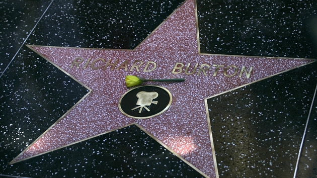 Richard Burton m na hollywoodksm chodnku slvy vlastn hvzdu.
