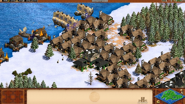 Age of Empires 2 HD