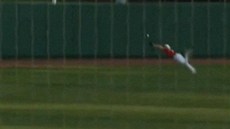 Fantastický kousek baseballového polaře Bretta Williamse Fantastický kousek baseballového polaře Bretta Williamse