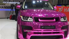 Hamann Mistere Hamann Mistere