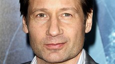 David Duchovny na premiée filmu Phantom (2013)