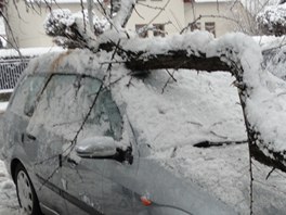 Strom nevydrel tíhu napadaného snhu a spadl na auto v ulici Bratí tefan v...