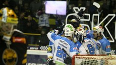 Plzeňští hokejisté se radují z gólu proti Litvínovu. Plzeňští hokejisté se radují z gólu proti Litvínovu.